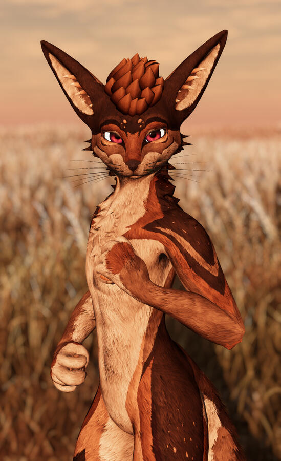 LapuaCoyote