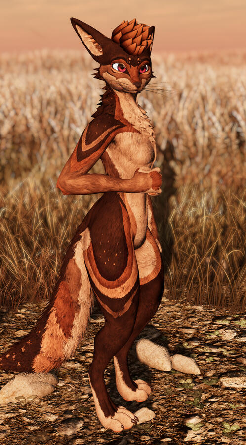 LapuaCoyote