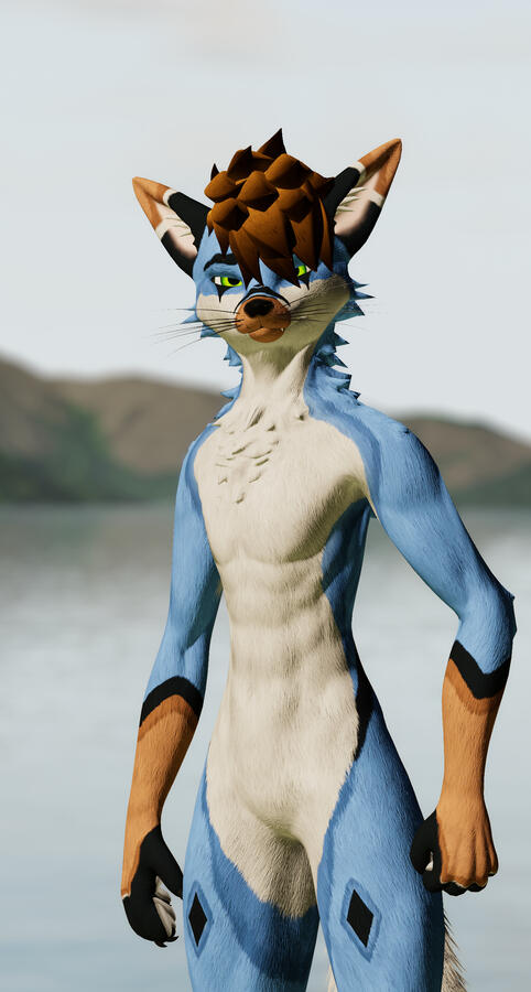 MokaruHusky