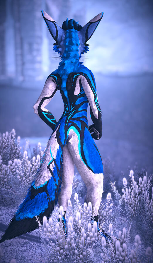 Iris*